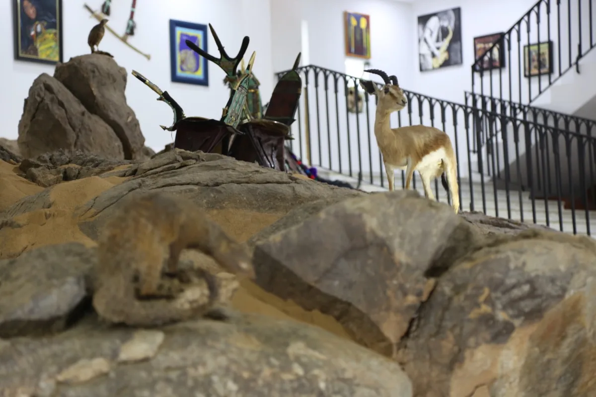 Musée de Dar El Imzad — photo 17 sur 44
