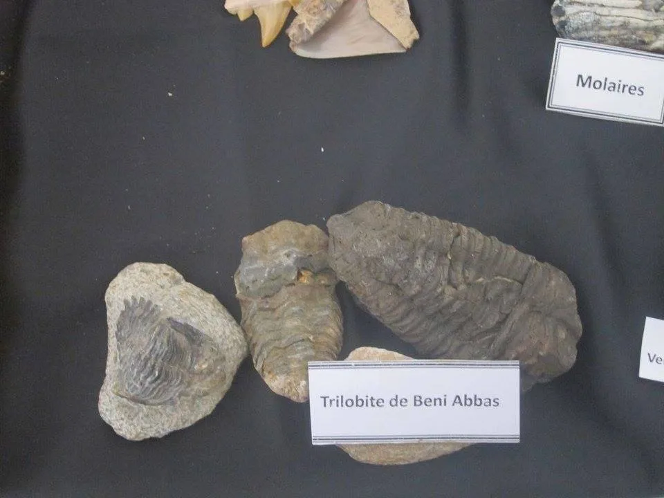 Musée de Dar El Imzad — photo 2 sur 44