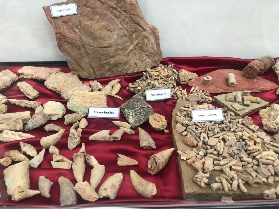 Musée de Dar El Imzad — photo 3 sur 44