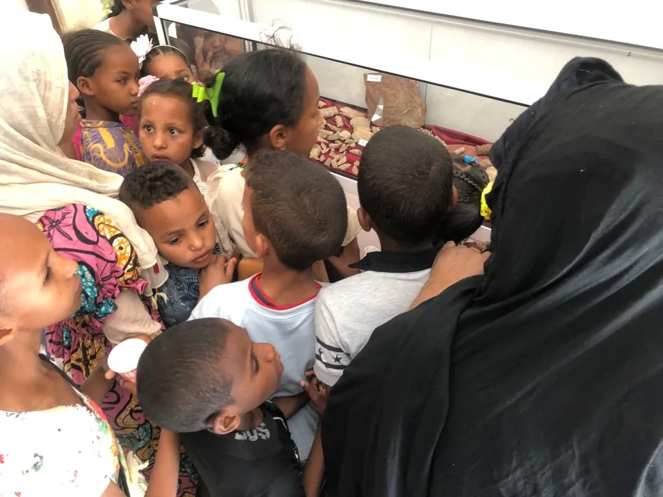 Musée de Dar El Imzad — photo 12 sur 16