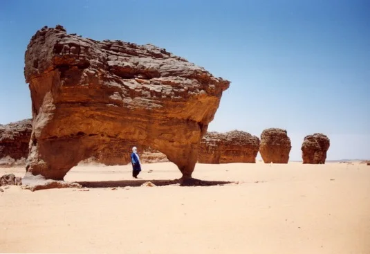 Tagrera de l'Ahaggar — photo 22