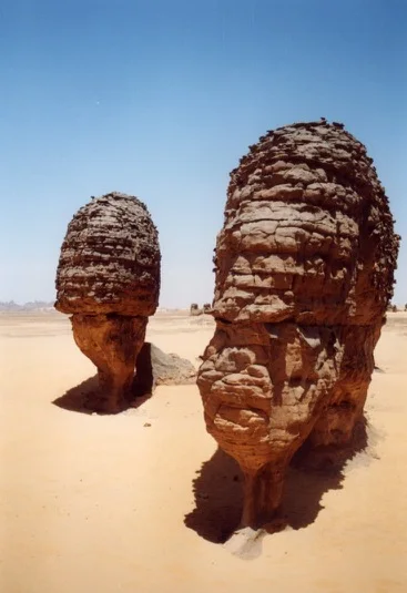Tagrera de l'Ahaggar — photo 20