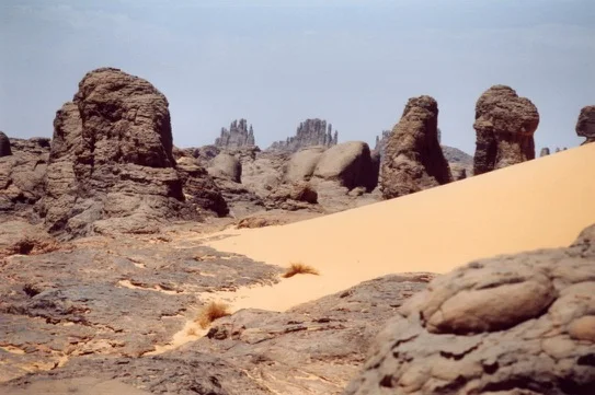 Tagrera de l'Ahaggar — photo 16