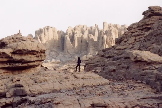 Tagrera de l'Ahaggar — photo 14