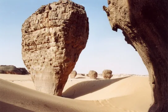 Tagrera de l'Ahaggar — photo 12