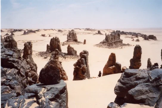 Tagrera de l'Ahaggar — photo 3
