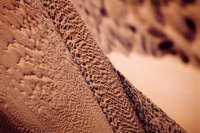 Dunes du Sahara algérien — photo 1