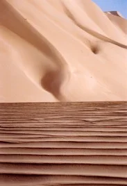 Dunes du Sahara algérien — photo 2