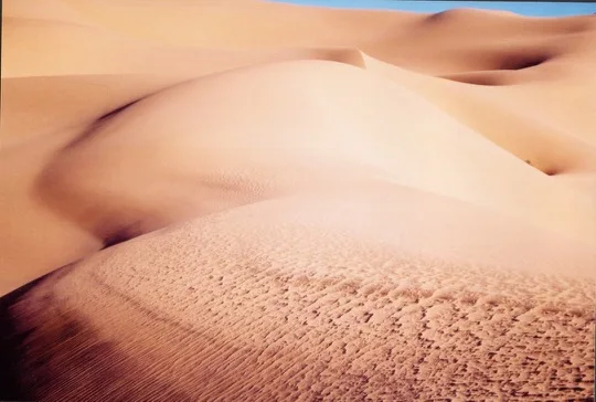Dunes du Sahara algérien — photo 3