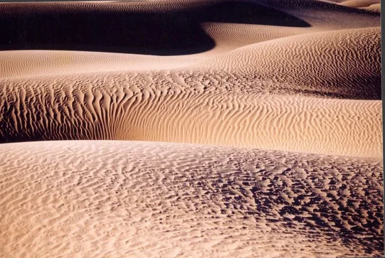 Dunes du Sahara algérien — photo 4