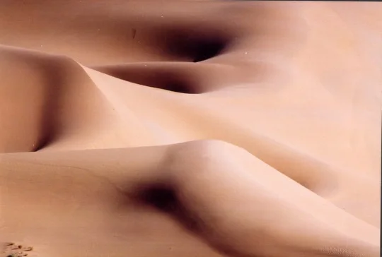 Dunes du Sahara algérien — photo 5