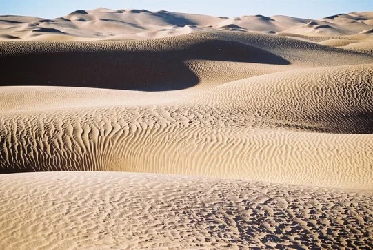 Dunes du Sahara algérien — photo 6