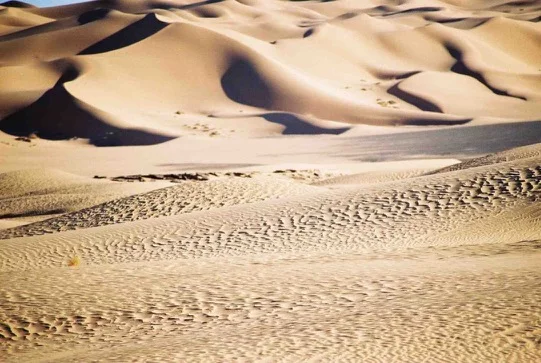 Dunes du Sahara algérien — photo 7