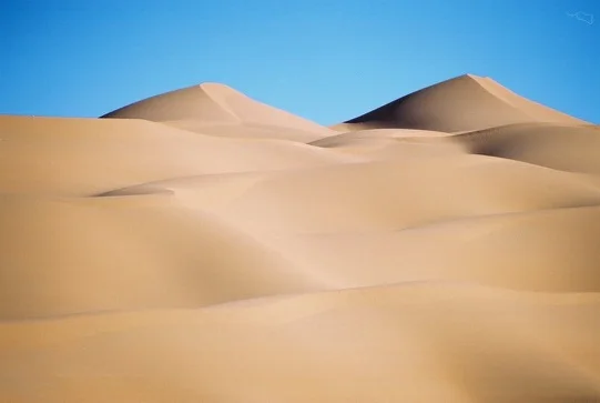 Dunes du Sahara algérien — photo 8