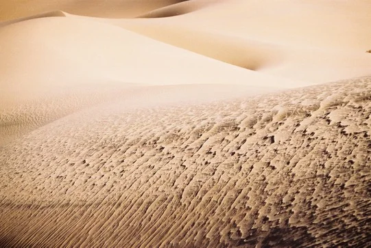 Dunes du Sahara algérien — photo 9