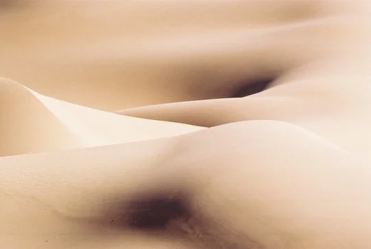 Dunes du Sahara algérien — photo 10
