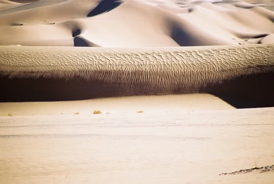 Dunes du Sahara algérien — photo 11