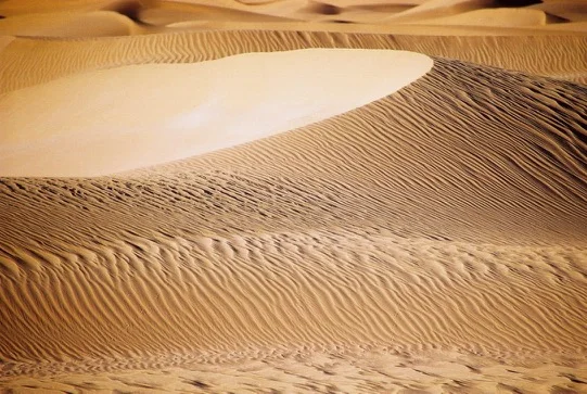 Dunes du Sahara algérien — photo 13