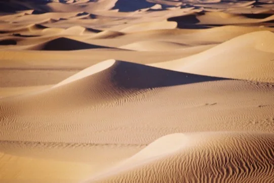 Dunes du Sahara algérien — photo 14