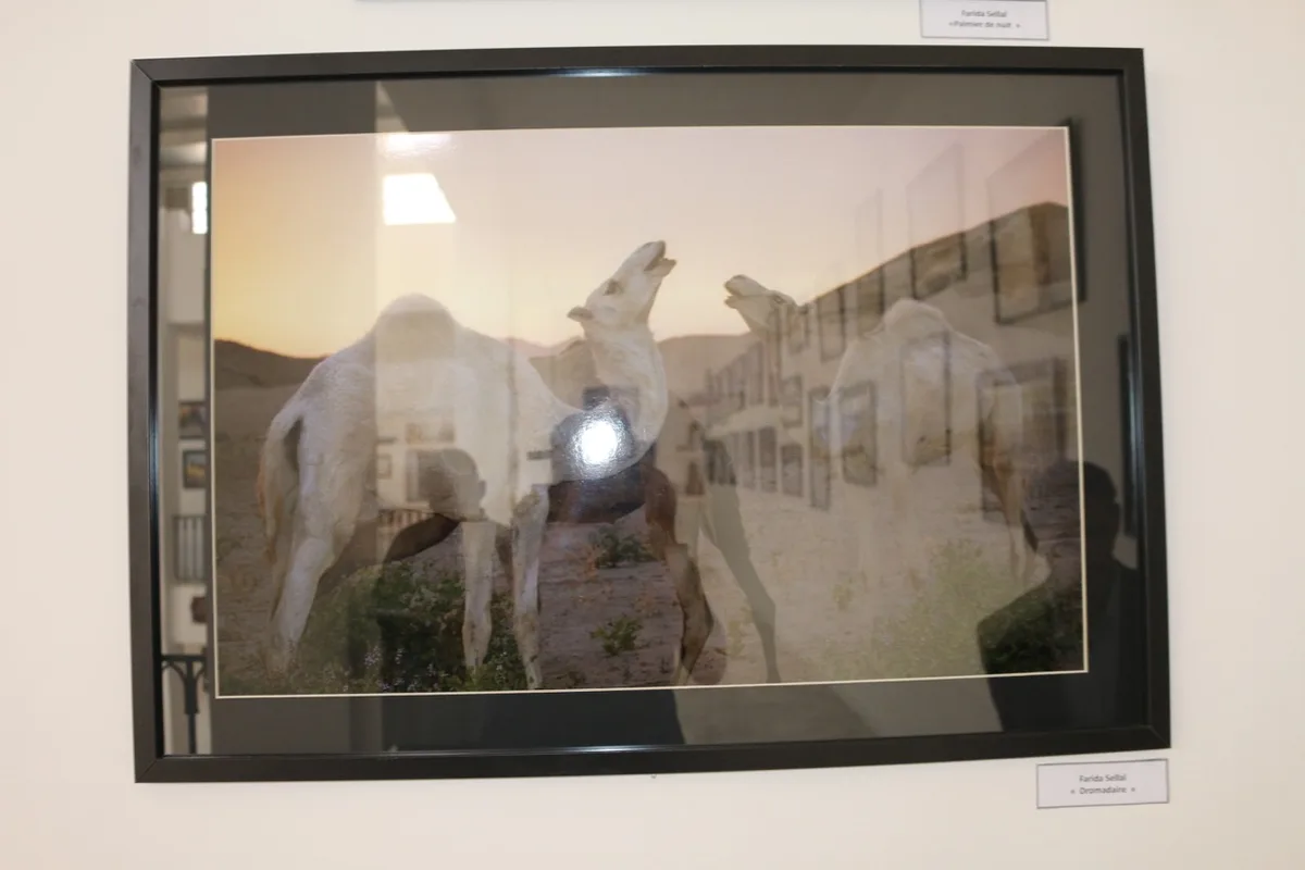 Musée de Dar El Imzad — photo 146 sur 157