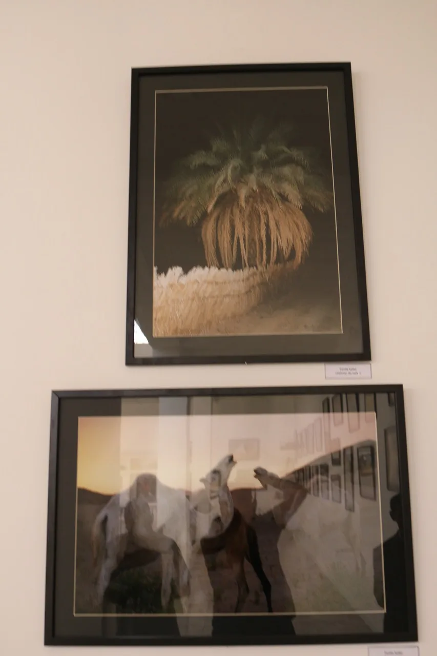 Musée de Dar El Imzad — photo 143 sur 157