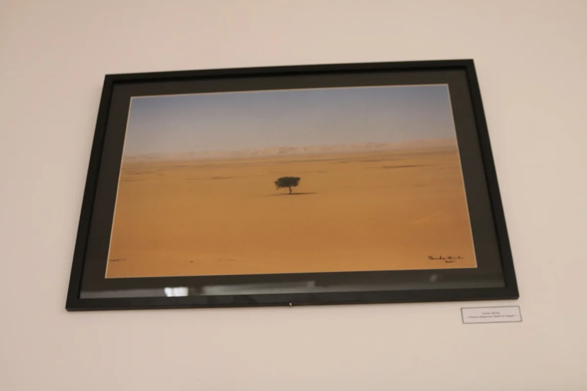 Musée de Dar El Imzad — photo 138 sur 157