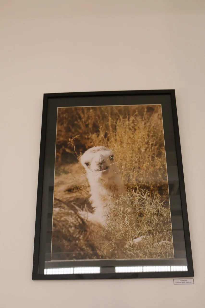 Musée de Dar El Imzad — photo 135 sur 157