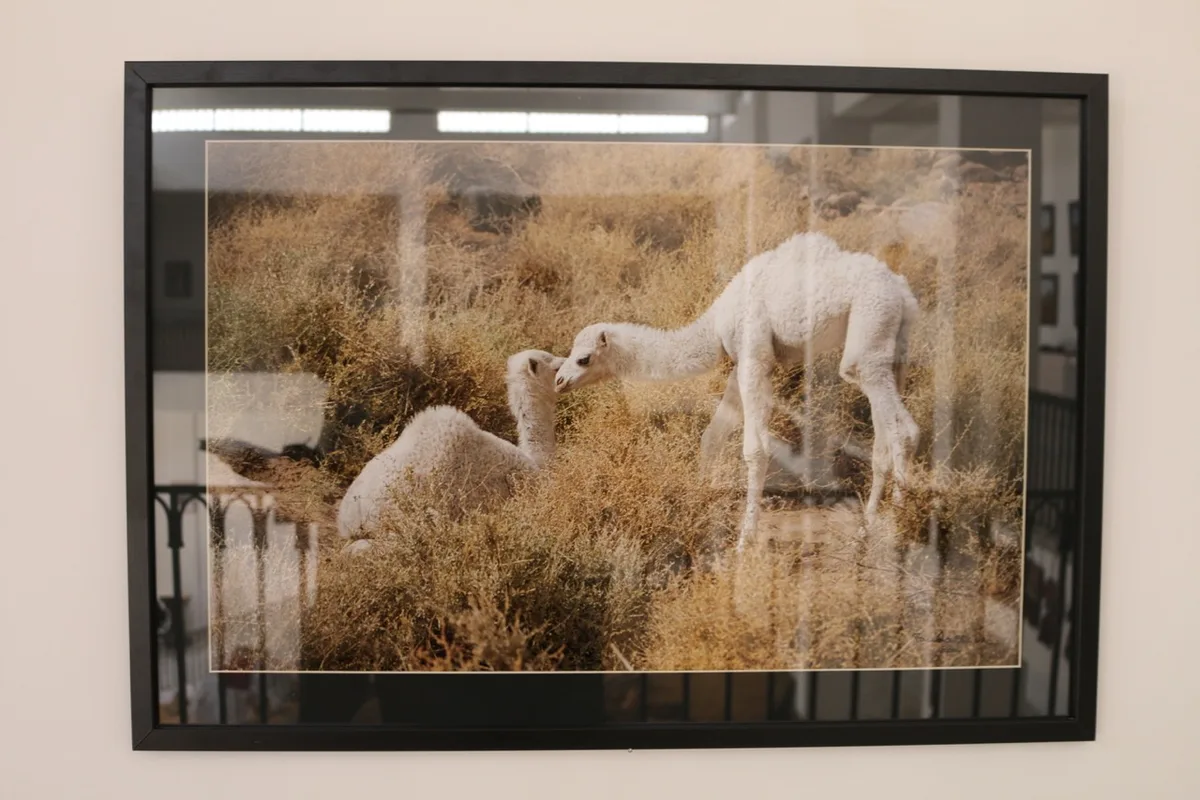 Musée de Dar El Imzad — photo 133 sur 157