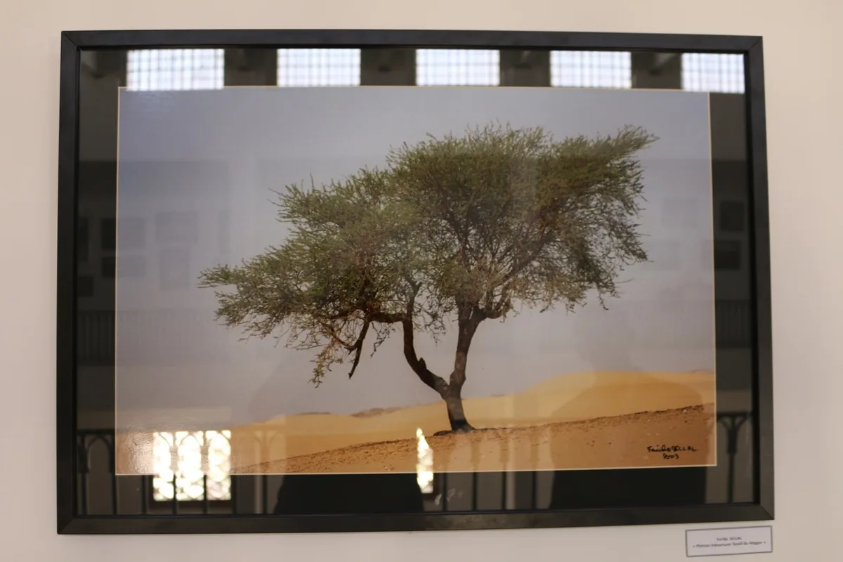 Musée de Dar El Imzad — photo 114 sur 157
