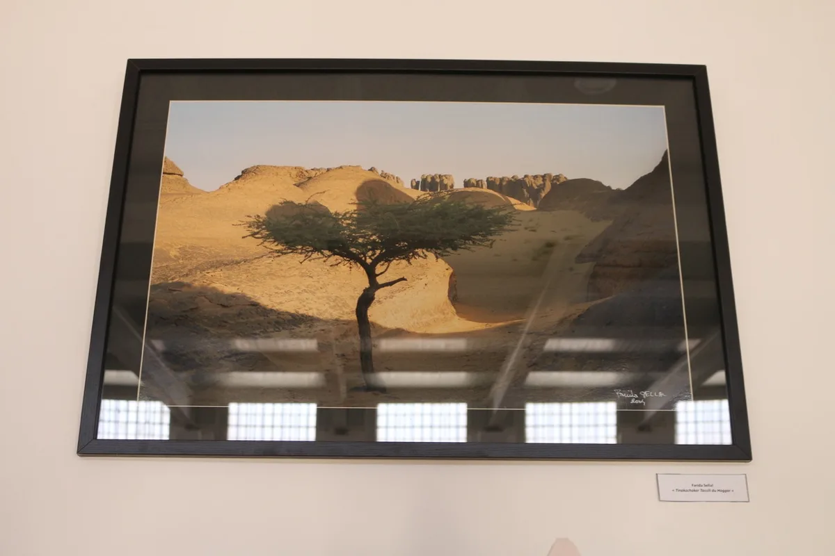 Musée de Dar El Imzad — photo 113 sur 157