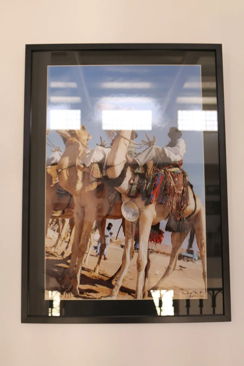 Musée de Dar El Imzad — photo 100 sur 157