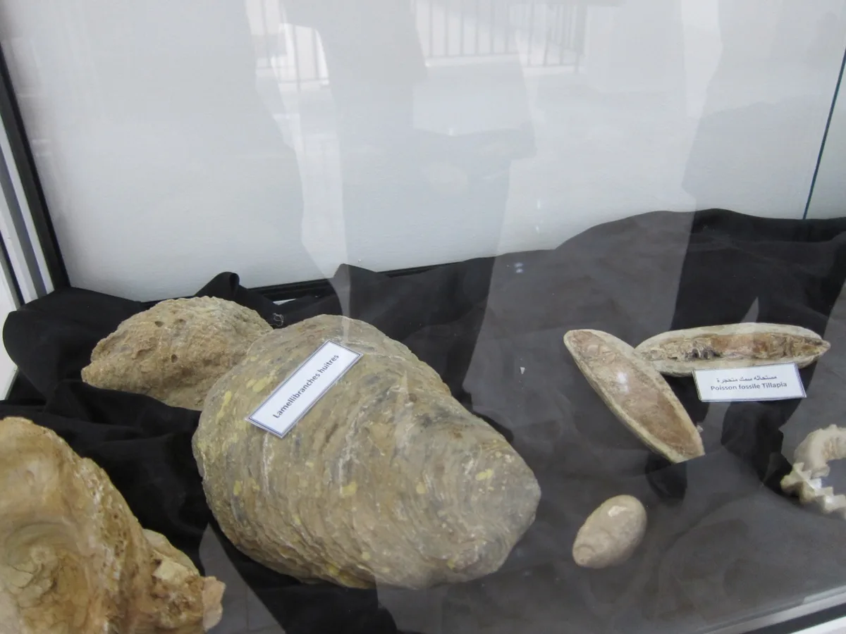 Musée de Dar El Imzad — photo 9 sur 44