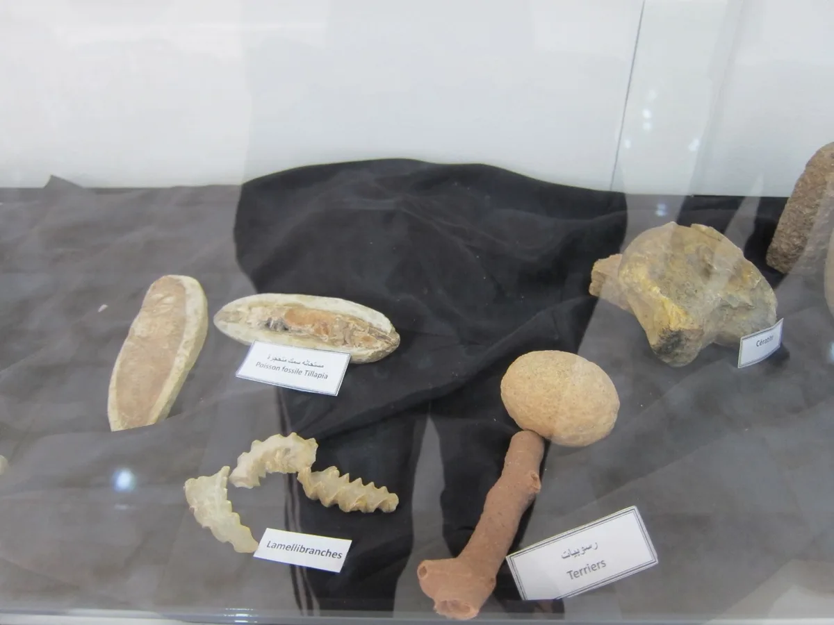 Musée de Dar El Imzad — photo 13 sur 44