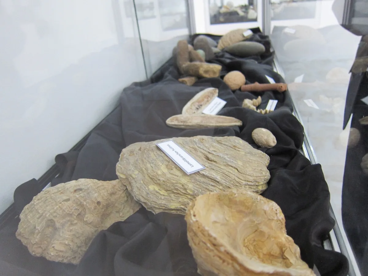 Musée de Dar El Imzad — photo 11 sur 44