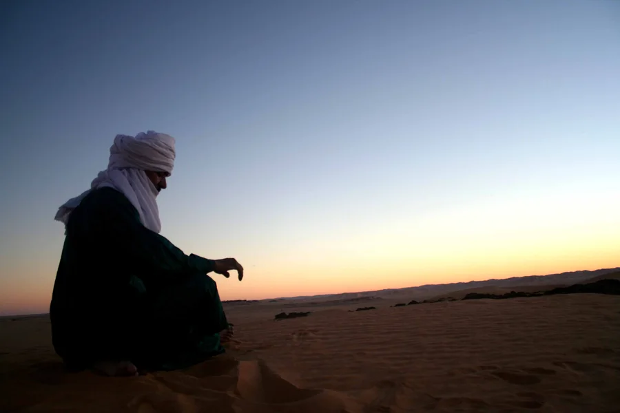 LE ROYAUME DES SILENCES
