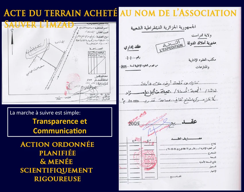 Dar El Imzad — site de construction