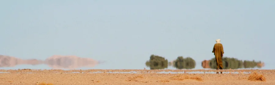 Seddik en 2002 — panorama du désert algérien