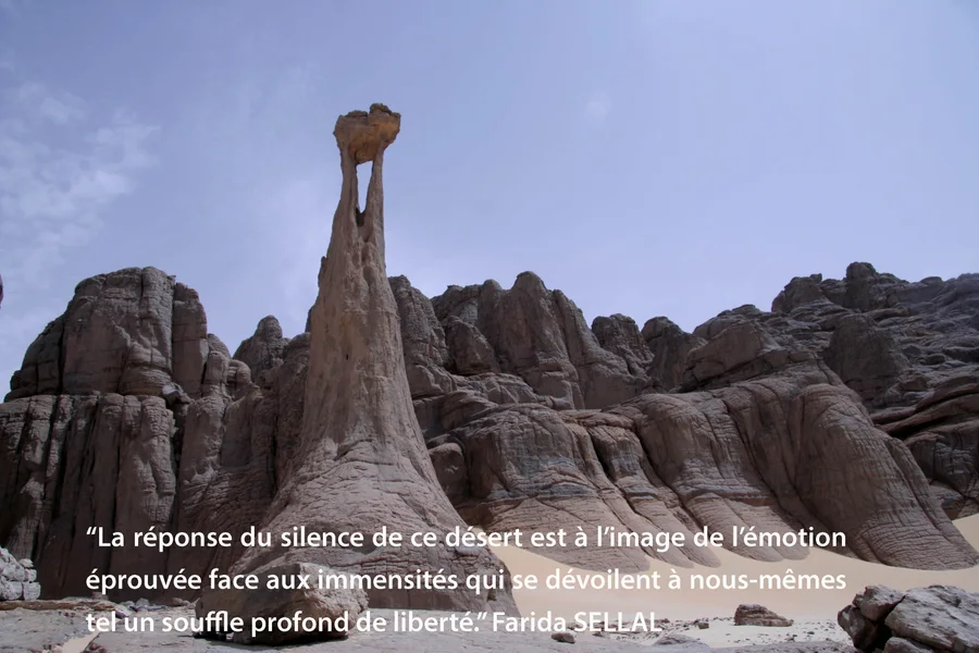 Taguelmet — oasis dans le désert algérien