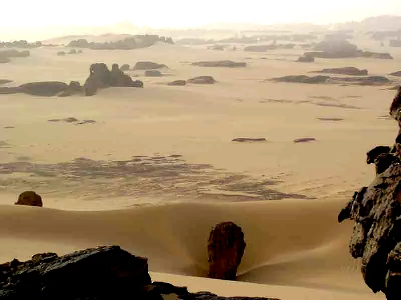 LE ROYAUME DES SILENCES